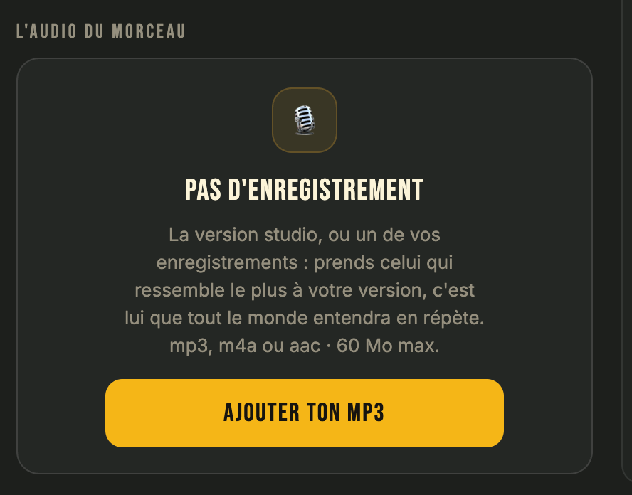 L'onglet Audio d'un morceau sans fichier